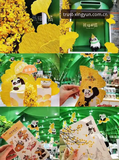 揭秘杏运品牌最新版的核心突破：为什么专业用户都在换这个方案